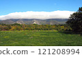 Mountain landscape with green grass and blue sky. 121208994