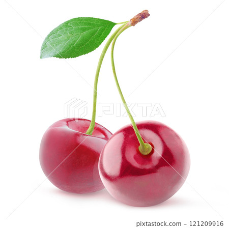 Two cherry fruits on connected stems with leaf isolated on white background Two cherry fruits on connected stems with leaf isolated on white background 121209916