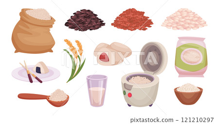 Rice. Grain products traditional asian food exact vector different rice variety colored illustrations 121210297