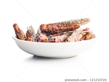 Crispy fried grasshoppers in bowl isolated on white background. Insect protein. Crispy fried grasshoppers in bowl isolated on white background. Insect protein. 121210720