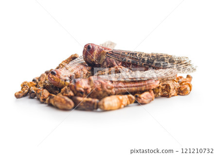 Crispy fried grasshoppers and crickets isolated on white background. Insect protein. Crispy fried grasshoppers and crickets isolated on white background. Insect protein. 121210732