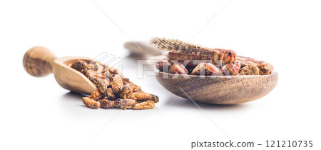 Crispy fried grasshoppers and crickets in scoop isolated on white background. Insect protein. 121210735