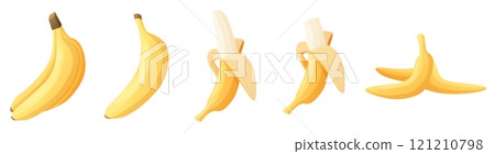 Banana eating. Full cutting bananas step by step eat process. Snack eat time, healthy diet carb dessert. Exotic tropical organic fruit, nowaday vector set Banana eating. Full cutting bananas step by step eat process. Snack eat time, healthy diet carb dessert. Exotic tropical organic fruit, nowaday vector set 121210798