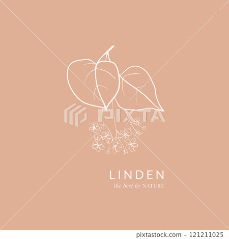 Hand drawn linden blossoms composition 121211025