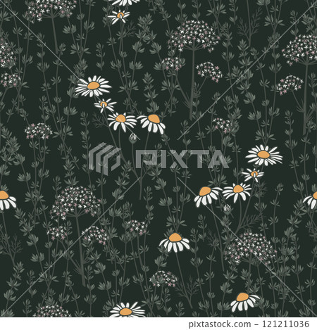 Seamless pattern with hand drawn chamomile, valerian and thyme plants on dark background Seamless pattern with hand drawn chamomile, valerian and thyme plants on dark background 121211036