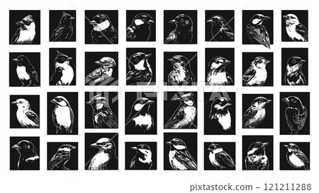 Various Birds Portraits In Squares Ink Style Vector Illustrations Unique Artwork Creative Design Decorative Elements Artistic Visuals Modern Graphics Distinctive Art Style Animal 121211288