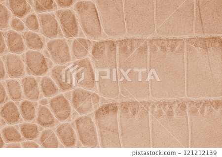 Close-up of crocodile leather with texture and patterns, natural background 121212139