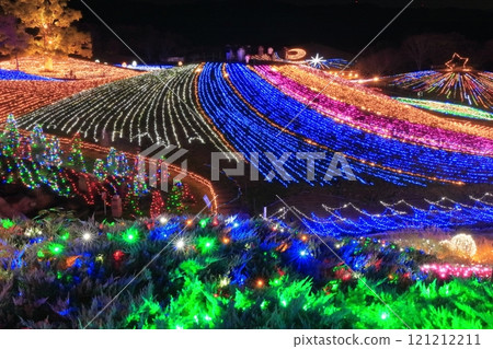 [Kagawa Prefecture] Winter National Sanuki Mannou Park (Illumination) 121212211