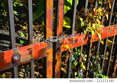 rusty iron gate 121212385