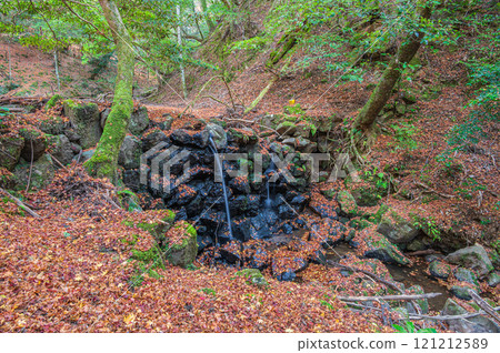奈良市春日山原始森林中落葉的山間溪流 奈良市春日山原始森林中落葉的山間溪流 121212589
