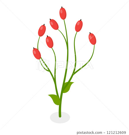 3D Isometric Flat Vector Illustration of Flowers Collection, Set of Various Blooming Plants. Item 3 3D Isometric Flat Vector Illustration of Flowers Collection, Set of Various Blooming Plants. Item 3 121212609