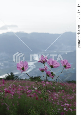 The view of the lower world from Cosmos Park 121213016