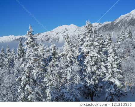 從新穗高纜車西穗高出口眺望北阿爾卑斯山的壯麗景色 121213535
