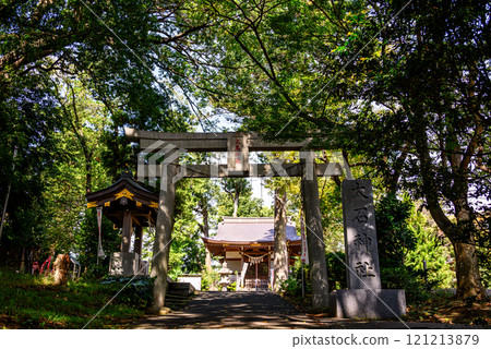 Ten Views of Nagatsuta Oishi Cherry Blossoms Panoramic view of Oishi Shrine Ten Views of Nagatsuta Oishi Cherry Blossoms Panoramic view of Oishi Shrine 121213879