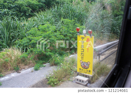 Iriomote wildcat, watch out for jumping out, sign Iriomote wildcat, watch out for jumping out, sign 121214081