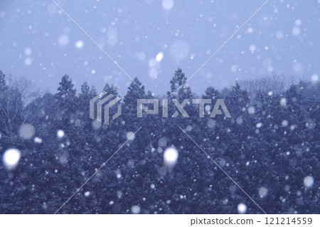 下雪天 下雪天 121214559