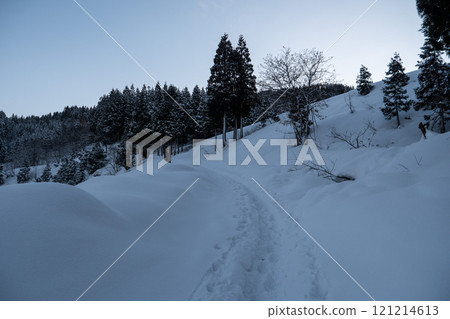 Snowy forest road Snowy forest road 121214613