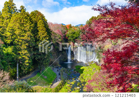 Shiraito Falls in autumn, Fujinomiya City, Shizuoka Prefecture 121215403