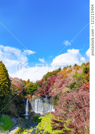 Shiraito Falls in autumn, Fujinomiya City, Shizuoka Prefecture 121215404