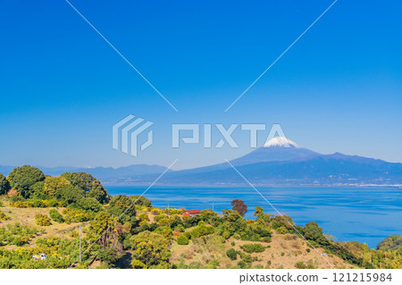 [Shizuoka Prefecture] Snow-capped Mount Fuji as seen from the mandarin orange fields of Izu 121215984