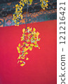 Ginkgo Branch Against Red Wall 121216421