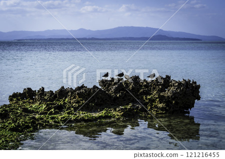 beautiful coastal scenery beautiful coastal scenery 121216455