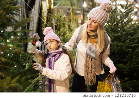 Family of mom and daughter look at live Christmas trees in street market 121216716
