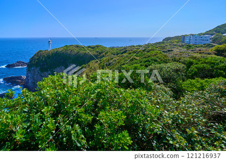 View of the Ashizuri Cape Lighthouse and accommodation/restaurants from the Ashizuri Cape Observatory in Tosashimizu City, Kochi Prefecture 121216937