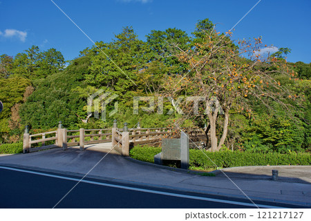 Persimmon trees bearing fruit along the moat of Matsue Castle, a national treasure, in late autumn Persimmon trees bearing fruit along the moat of Matsue Castle, a national treasure, in late autumn 121217127