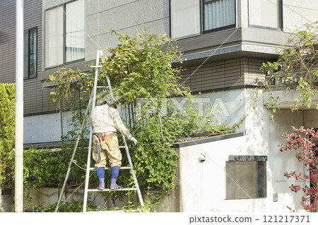 A worker pruning A worker pruning 121217371