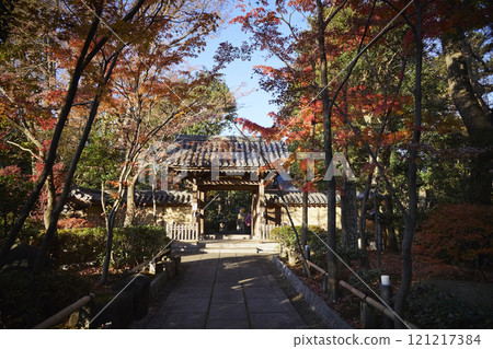 秋葉和寺廟 121217384