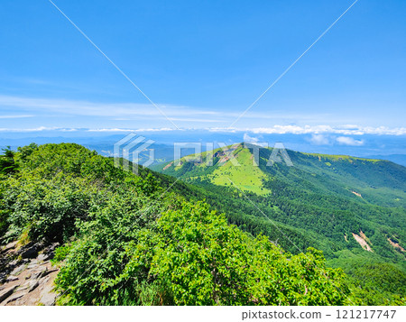 夏季攀登什葉派山和貓山(從什葉派山頂眺望貓山和北阿爾卑斯山) 夏季攀登什葉派山和貓山(從什葉派山頂眺望貓山和北阿爾卑斯山) 121217747