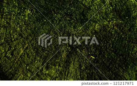 abstract dark green textured background with light flecks. 121217971