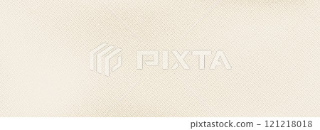 Retro beige halftone paper texture. Vintage craft ecru wallpaper with speckles, flecks, particles. Light cream grunge grain overlay background. Dirty dotted and specked canvas backdrop. Vector Retro beige halftone paper texture. Vintage craft ecru wallpaper with speckles, flecks, particles. Light cream grunge grain overlay background. Dirty dotted and specked canvas backdrop. Vector 121218018