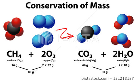Conservation of Mass in Chemical Reactions 121218187