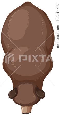 Top View of a Bison Illustration 121218200
