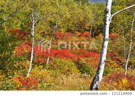 志賀高原Kazuma 121218409