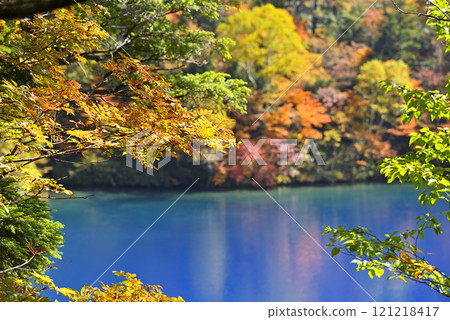 Shigakogen Highlands Pond Shigakogen Highlands Pond 121218417