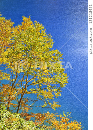 Shigakogen高地池塘 121218421