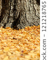 銀杏樹幹和落葉 121218765