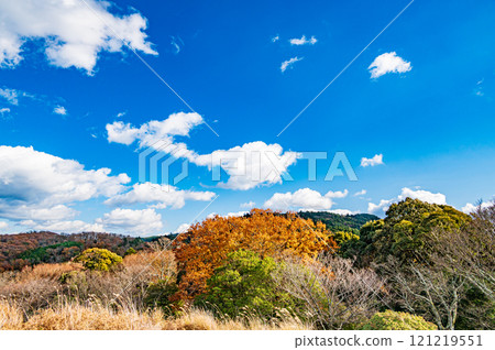 奈良市若草山鶯塚古墳的風景 121219551