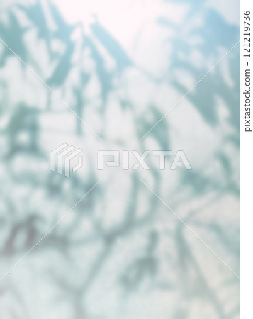 植物，陰影，光，陽光 的標籤 121219736