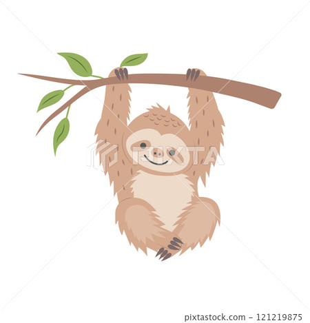 Cute sloth hanging on a branch isolated on white background. Cartoon nursery art baby character. Cute sloth hanging on a branch isolated on white background. Cartoon nursery art baby character. 121219875