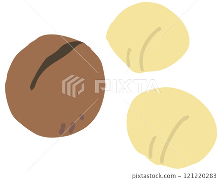 Macadamia nut 121220283