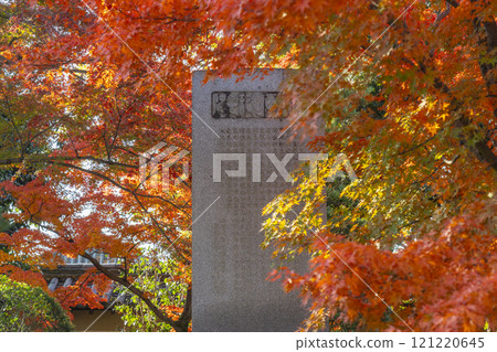 Autumn in Kyoto: Myoho-in Temple: The Seven Nobles' Monument surrounded by autumn leaves Autumn in Kyoto: Myoho-in Temple: The Seven Nobles' Monument surrounded by autumn leaves 121220645
