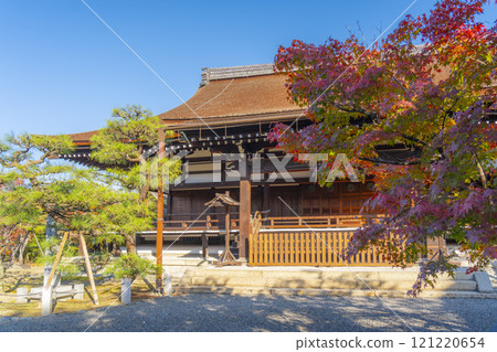 秋天的京都,妙法院,新殿被秋葉覆蓋 秋天的京都,妙法院,新殿被秋葉覆蓋 121220654