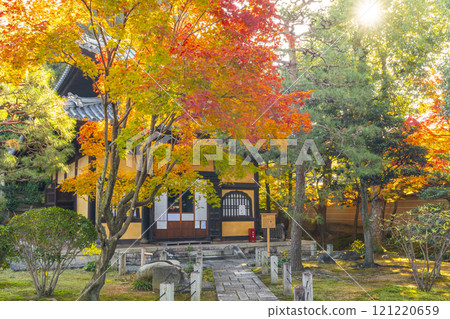 Autumn in Kyoto: Myoho-in Temple - The main hall (Fugendo) surrounded by autumn leaves 121220659