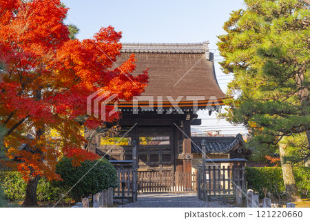 Autumn in Kyoto: Myoho-in Temple Karamon Gate surrounded by autumn leaves 121220660