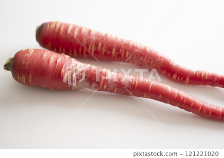 新年蔬菜金時胡蘿蔔 121221020