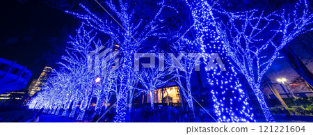 「東京」青之洞窟 SHIBUYA 2024（代代木公園）/澀谷區 121221604